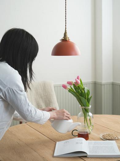 アイアンシェード ドミア テラコッタ