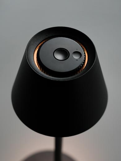 PLANTE portable lamp L BK