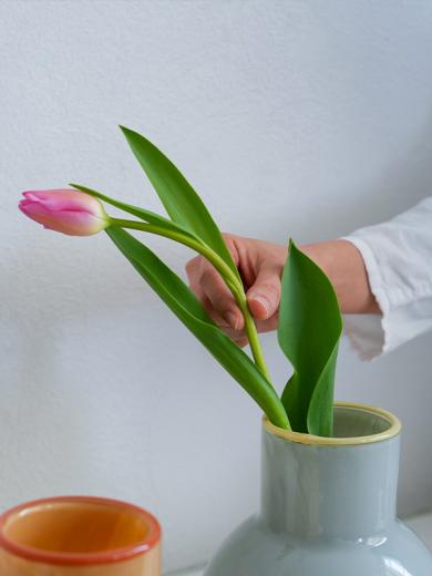 COLO ガラスベース L ミント×イエロー