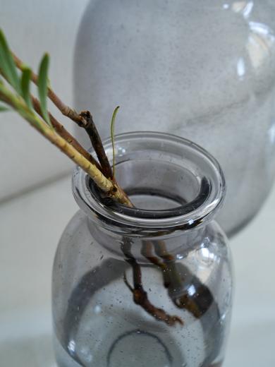 バブル ガラスベース S グレー