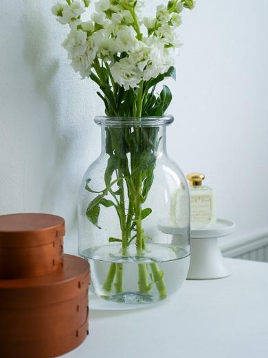 バブル ガラスベース L クリア