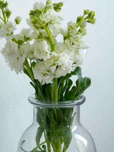 バブル ガラスベース L クリア