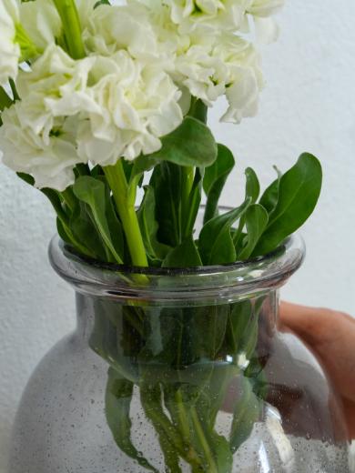 バブル ガラスベース L グレー