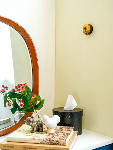 ※ブラススイッチ  ブラウン